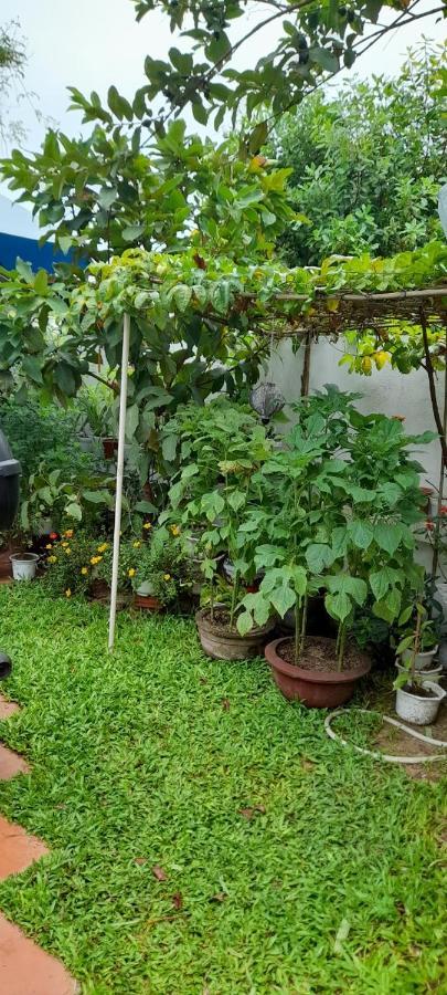 Star Garden Hoi An Apartment Екстериор снимка